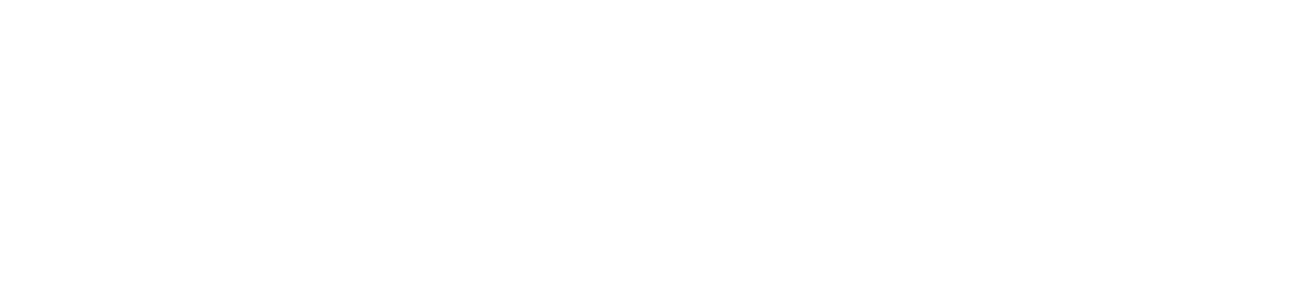 Norwegian logo